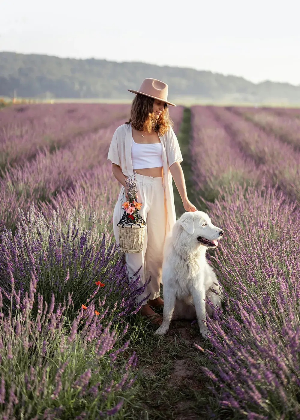 Mujer con mascota en un campo de lavanda