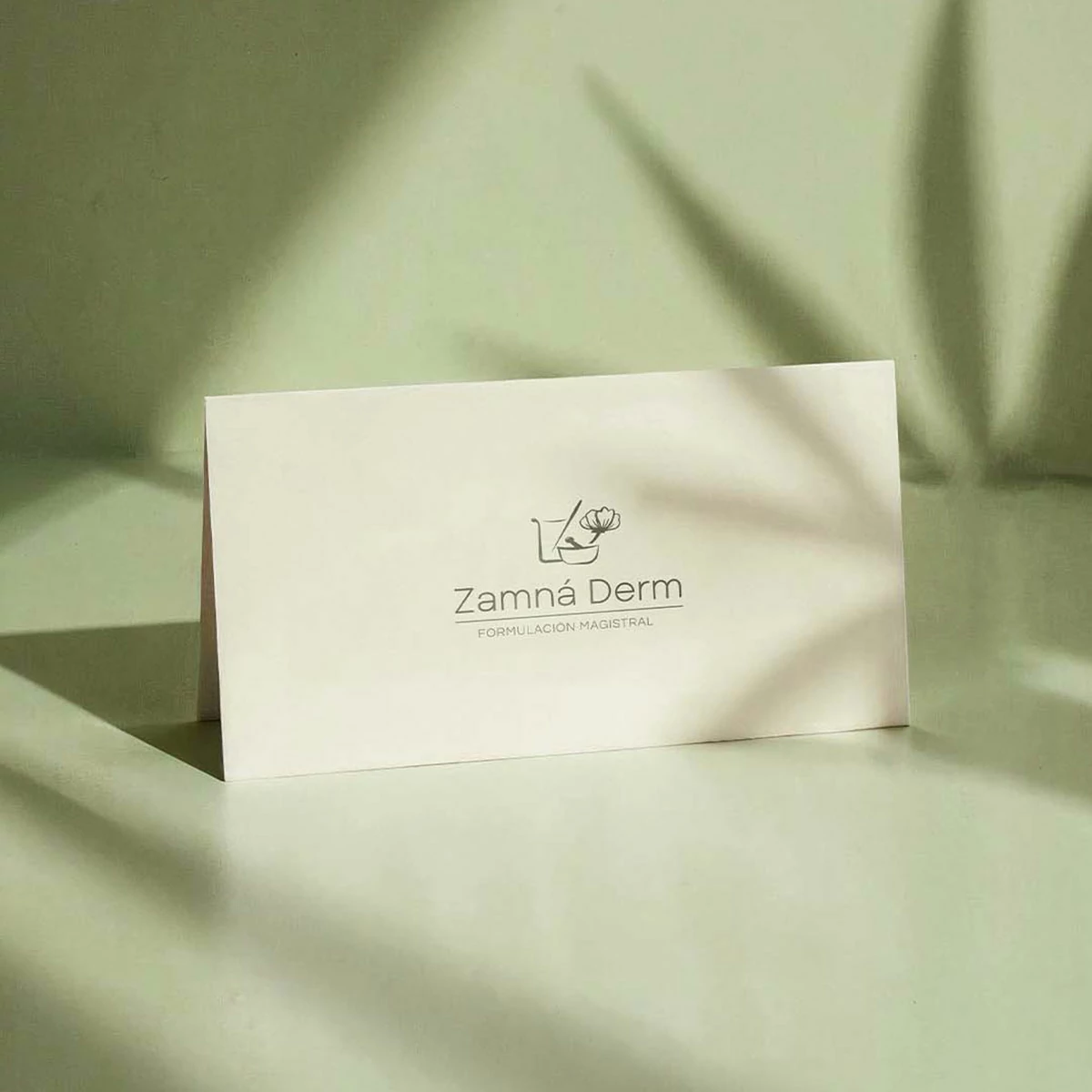 Tarjeta de presentación elegante y minimalista de la marca Zamna sobre una superficie con sombras de hojas naturales.